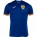 Romania Mens Third Jersey 24-25