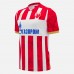 Red Star Belgrade Mens Home Jersey 24-25