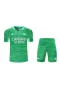 Arsenal F.C. Men Goalkeeper Short Sleeves Football Kit Green