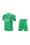 Arsenal F.C. Men Goalkeeper Short Sleeves Football Kit Green