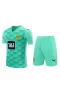 Borussia Dortmund Men Goalkeeper Short Sleeves Football Kit Cyan