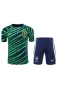 Brazil National Football Team Men Short Sleeves Football Kit 2023