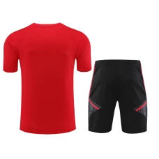 FC Bayern Munchen Men Short Sleeves Football Kit 2024