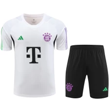 FC Bayern Munchen Men Short Sleeves Football Training Kit 2023