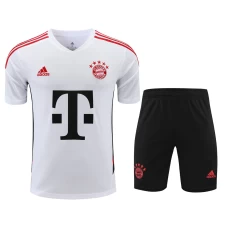 FC Bayern Munchen Men Short Sleeves Football Training Kit 2024