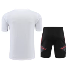 FC Bayern Munchen Men Short Sleeves Football Training Kit 2024