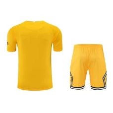 Paris Saint Germain FC Men Goalkeeper Short Sleeves Football Kit Yellow