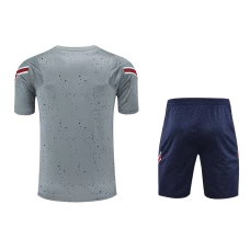 Paris Saint Germain FC Men Short Sleeves Football Kit Gray 2024