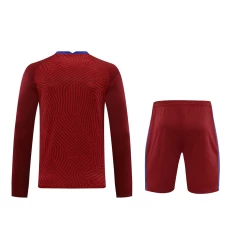 Tottenham Hotspur FC Men Goalkeeper Long Sleeves Football Kit Wine Red