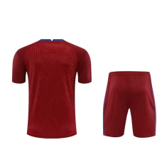 Tottenham Hotspur FC Men Goalkeeper Short Sleeves Football Kit Wine Red
